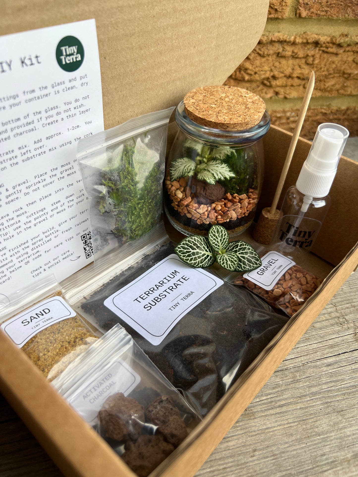 Father’s Day DIY Terrarium Kit Bundle