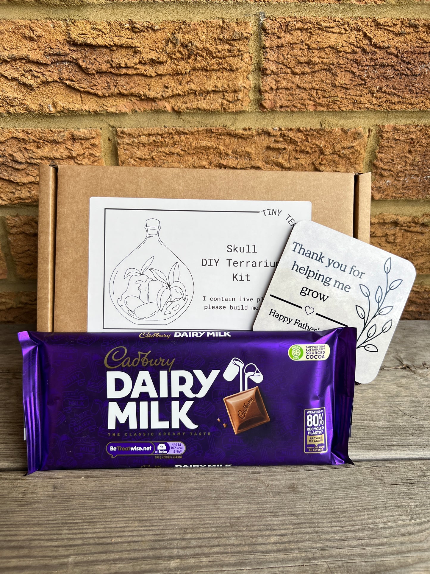 Father’s Day DIY Terrarium Kit Bundle