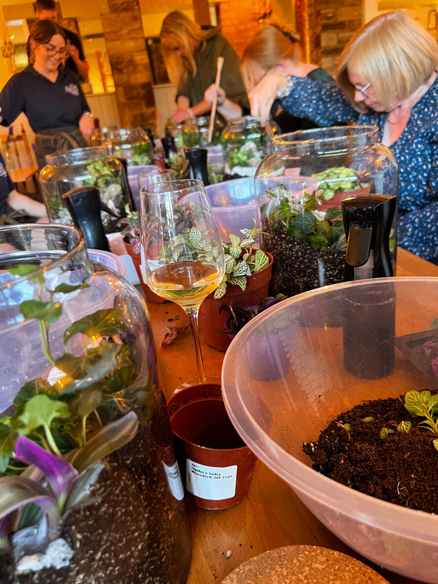 Great Gelato Terrarium Workshop - Multiple Dates