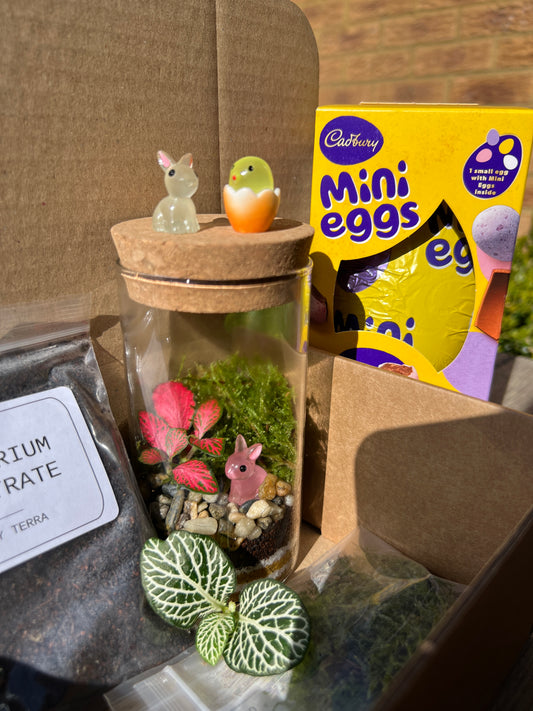 Easter DIY Terrarium Kit Bundle