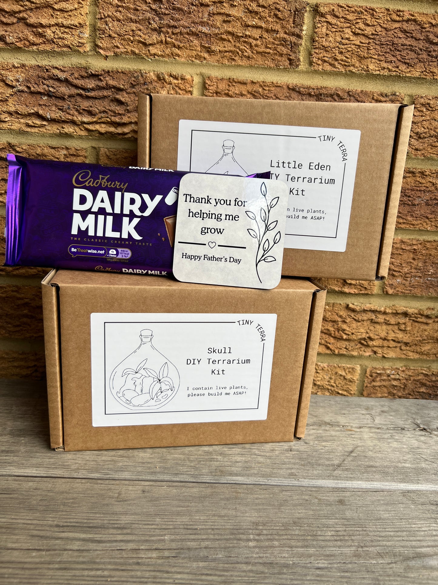 Father’s Day DIY Terrarium Kit Bundle
