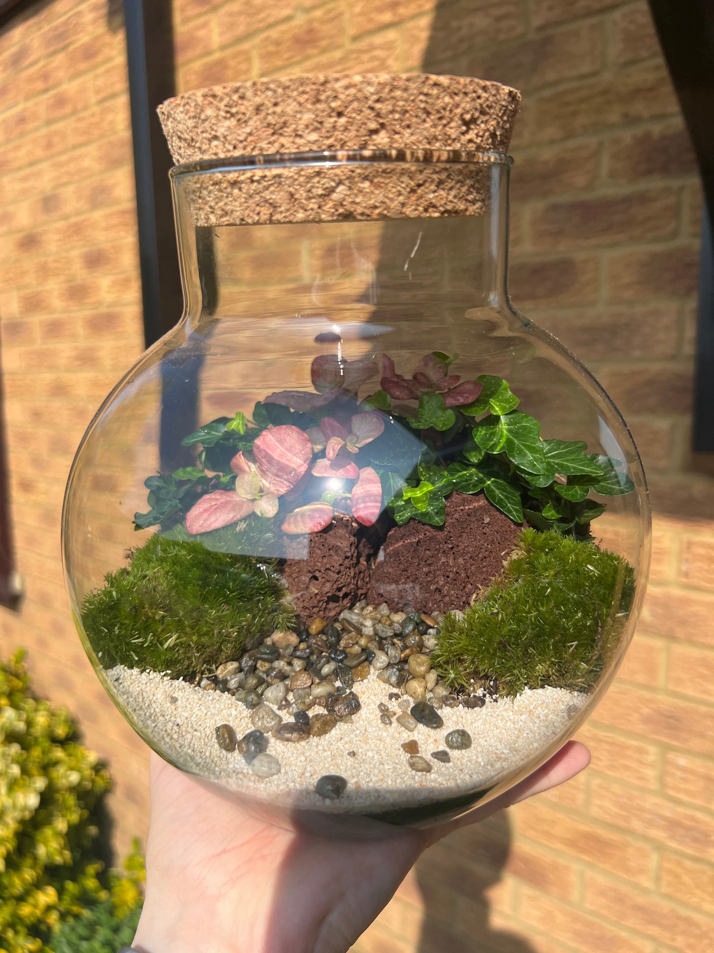 18th October - Renu Contrast Therapy & Terrarium Workshop