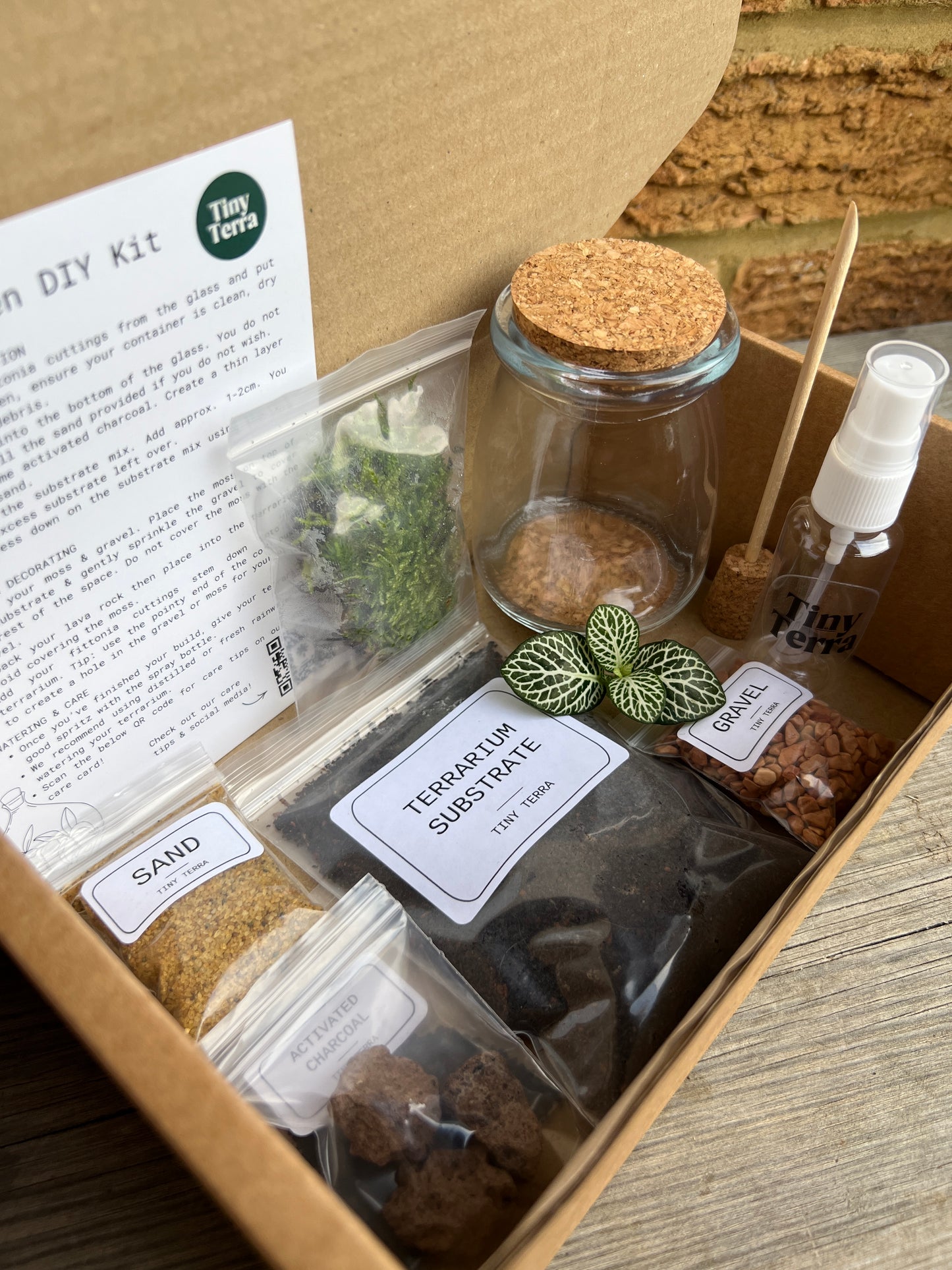 DIY Little Eden Terrarium Kit