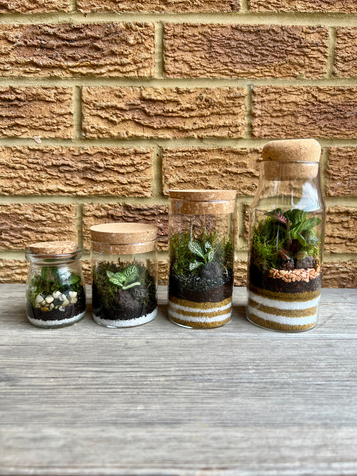 Kids Terrarium Workshop - 27th October Unity Place