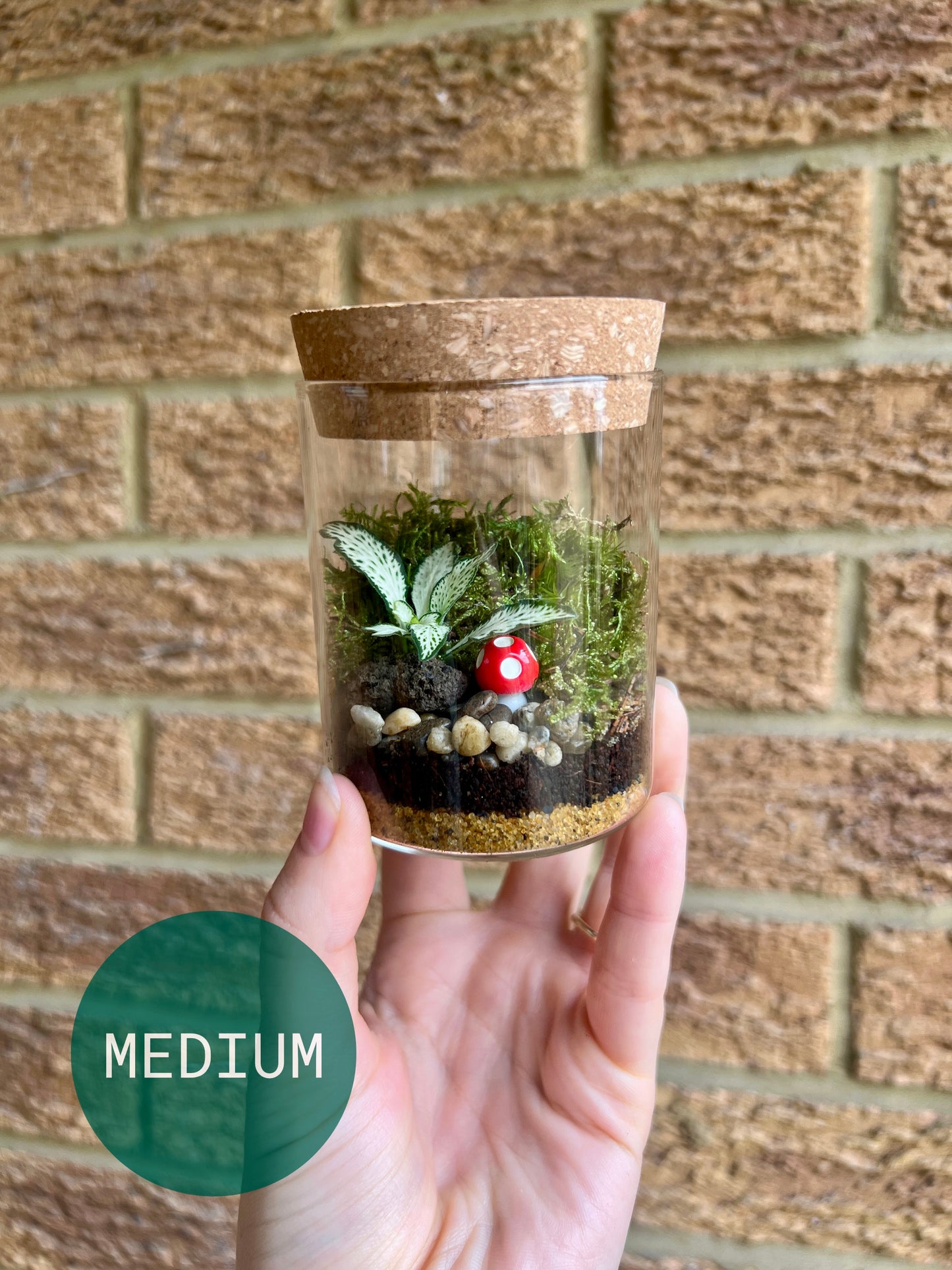 Kids Terrarium Workshop - 20th August Unity Place