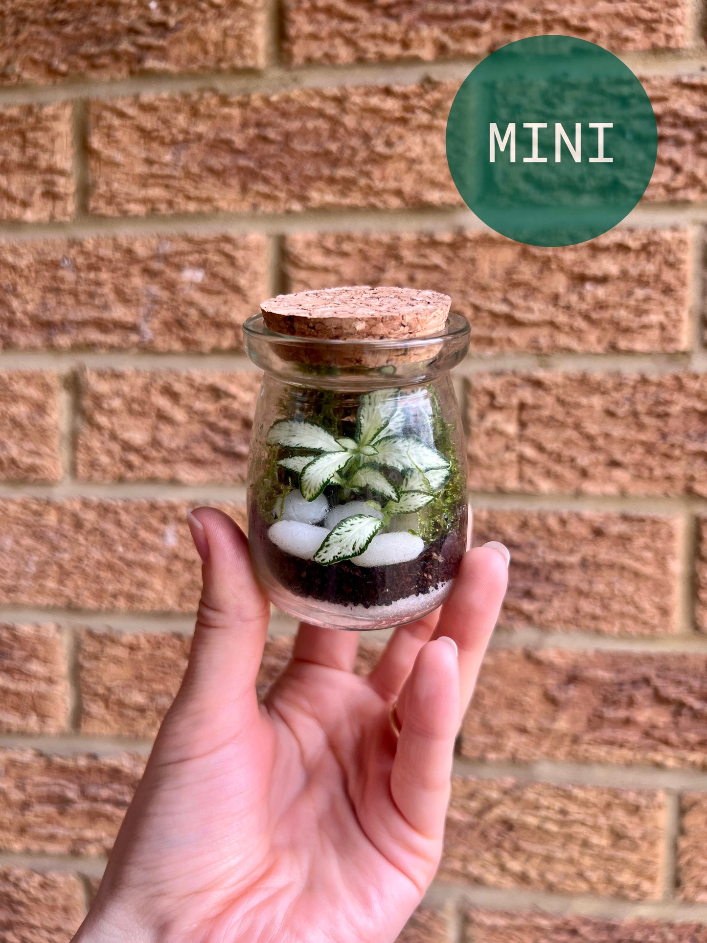 Kids Terrarium Workshop - 20th August Unity Place