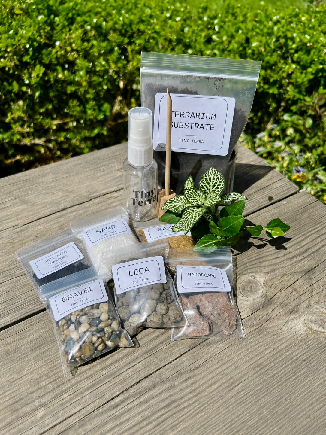 The Terrarium Starter Kit