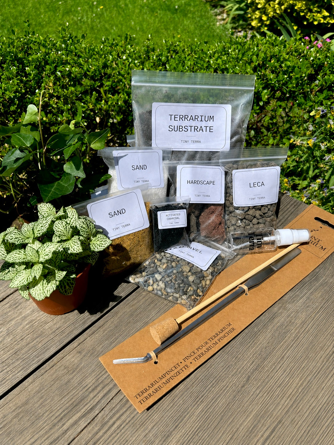 The Terrarium Starter Kit