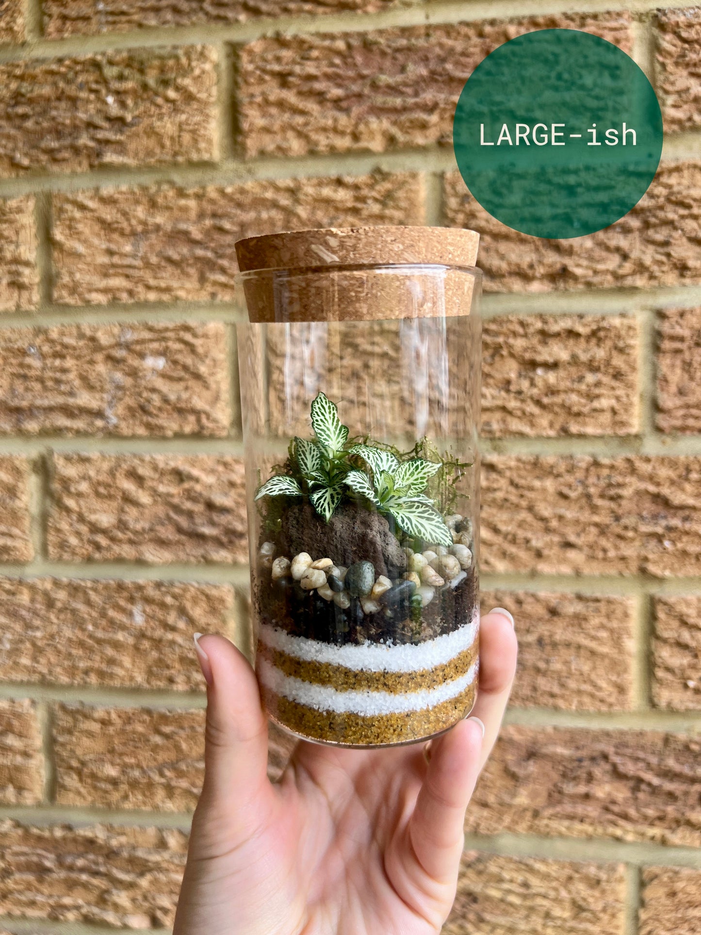 Kids Terrarium Workshop - 20th August Unity Place