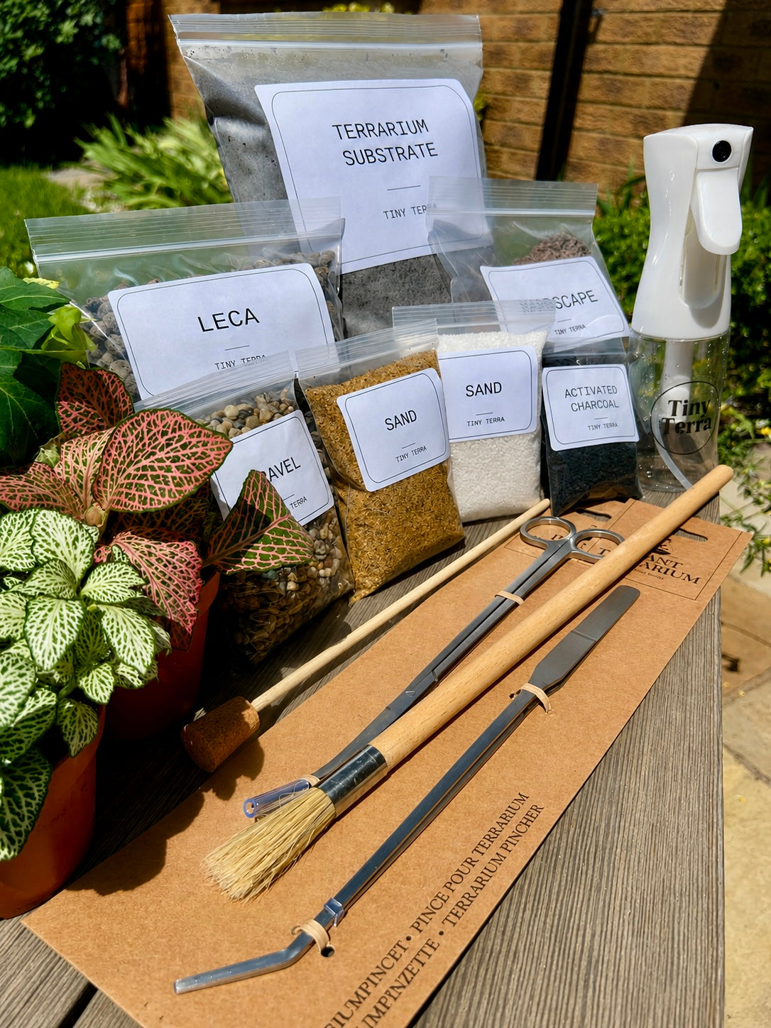 The Terrarium Starter Kit