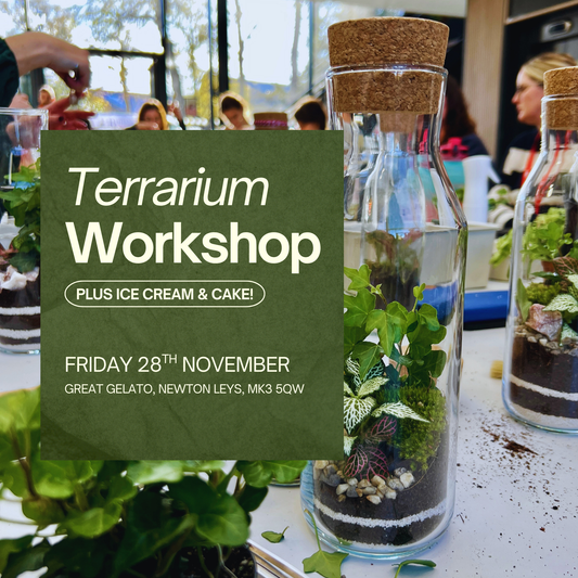 28th November - Great Gelato Terrarium Workshop