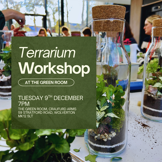 9th December - The Green Room Terrarium Workshop
