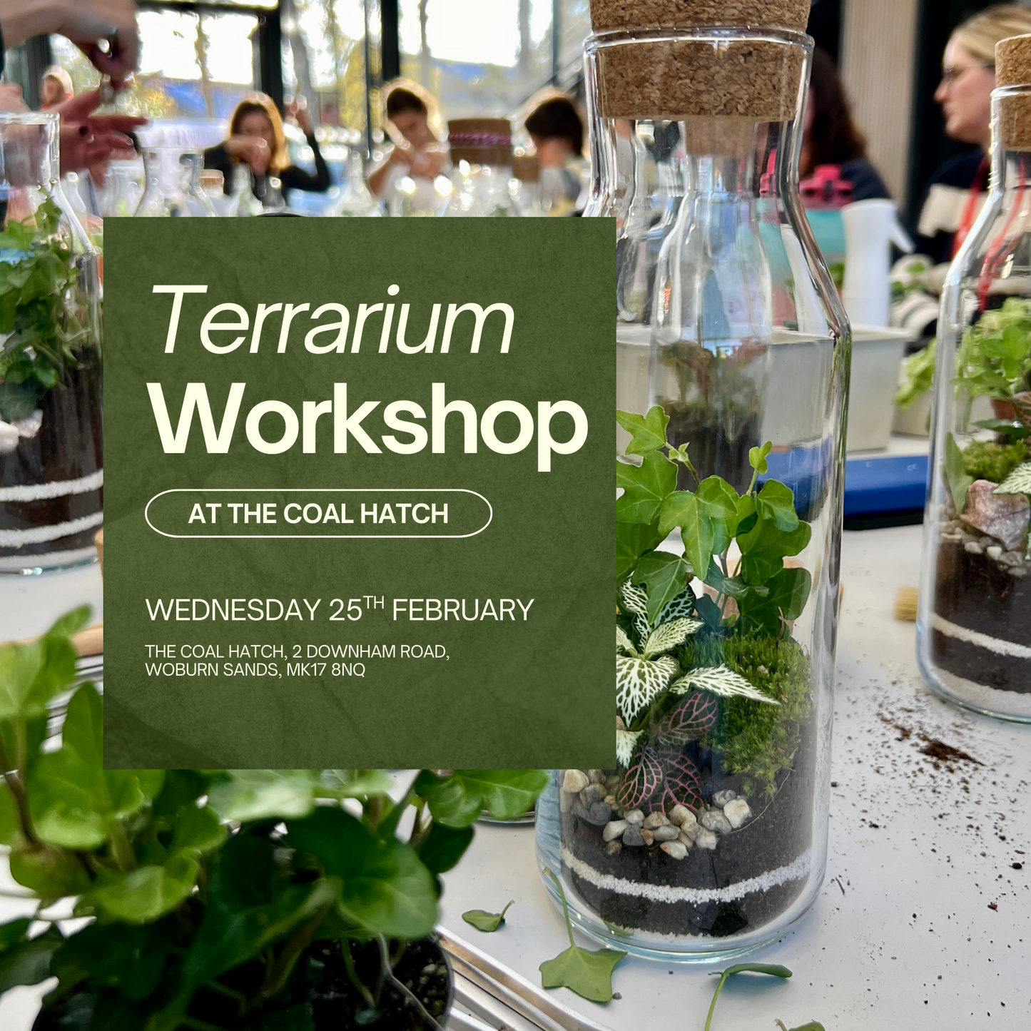25th February - The Coal Hatch Terrarium Workshop