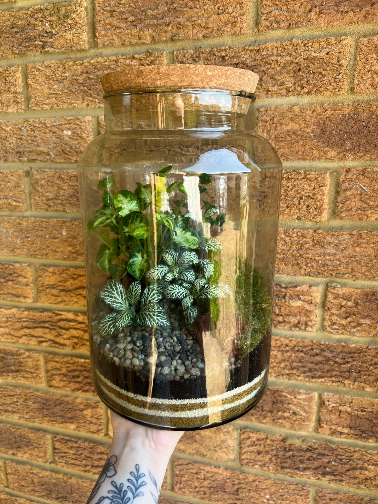 28th July - Fluff Studios XL Terrarium Workshop