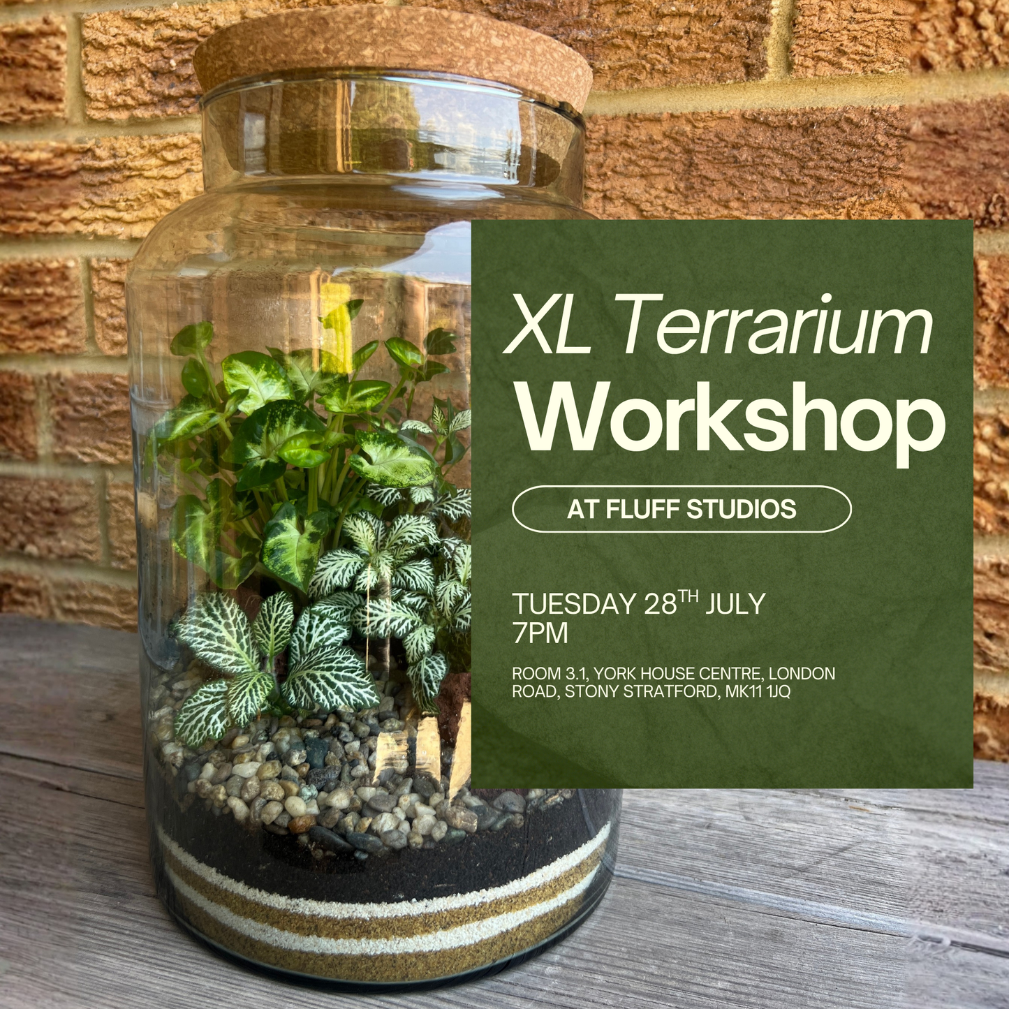 28th July - Fluff Studios XL Terrarium Workshop