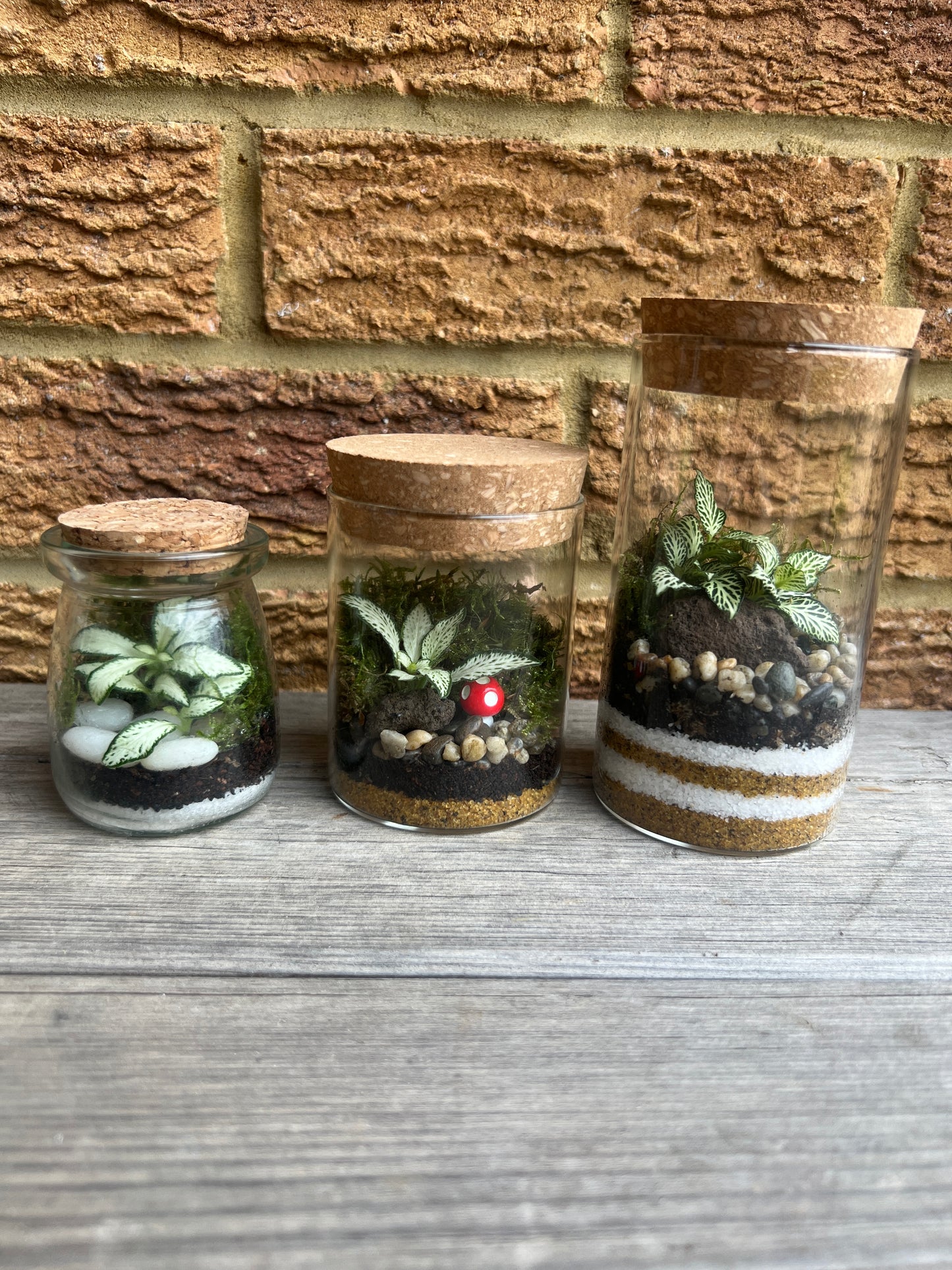 Kids Terrarium Workshop - 20th August Unity Place