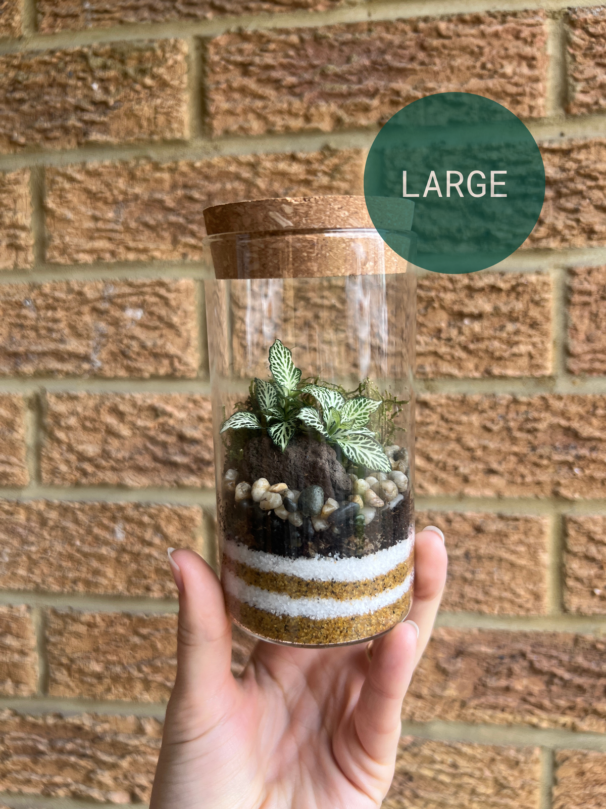 Kids Terrarium Workshop - 27th October Unity Place