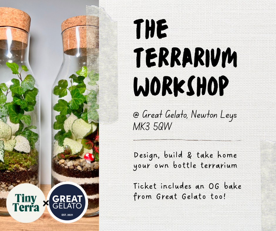 Great Gelato Terrarium Workshop - Multiple Dates